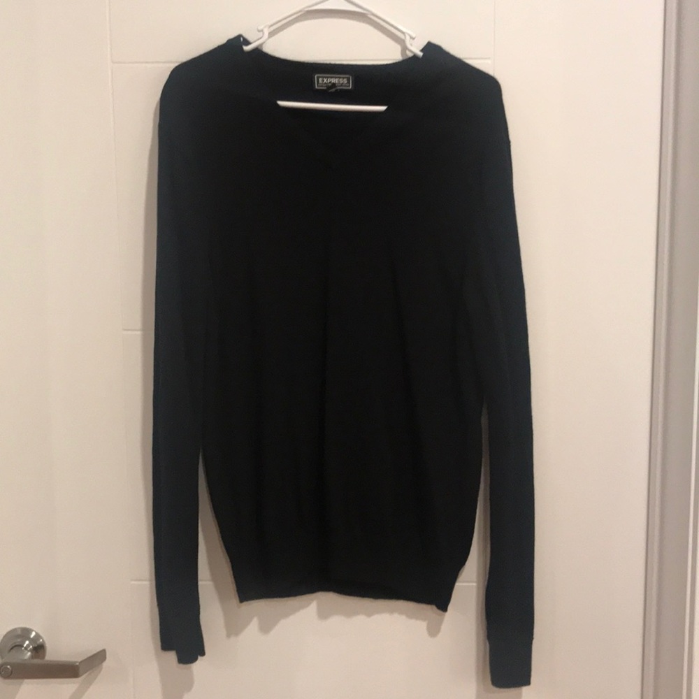 Express Extra Fine Merino Wool V-Neck Sweater